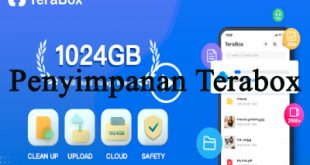 Penyimpanan Data Online