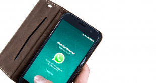 Cara Buat Stiker WA Langsung di WhatsApp