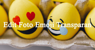 Aplikasi Edit Foto Emoji Transparan