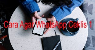 Cara Agar WhatsApp Ceklis 1 Di Iphone