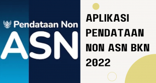 Aplikasi Pendataan Non ASN BKN 2022